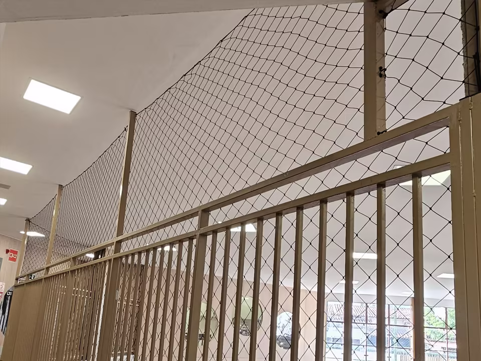 Imagem 2 da galeria da Rede Fácil